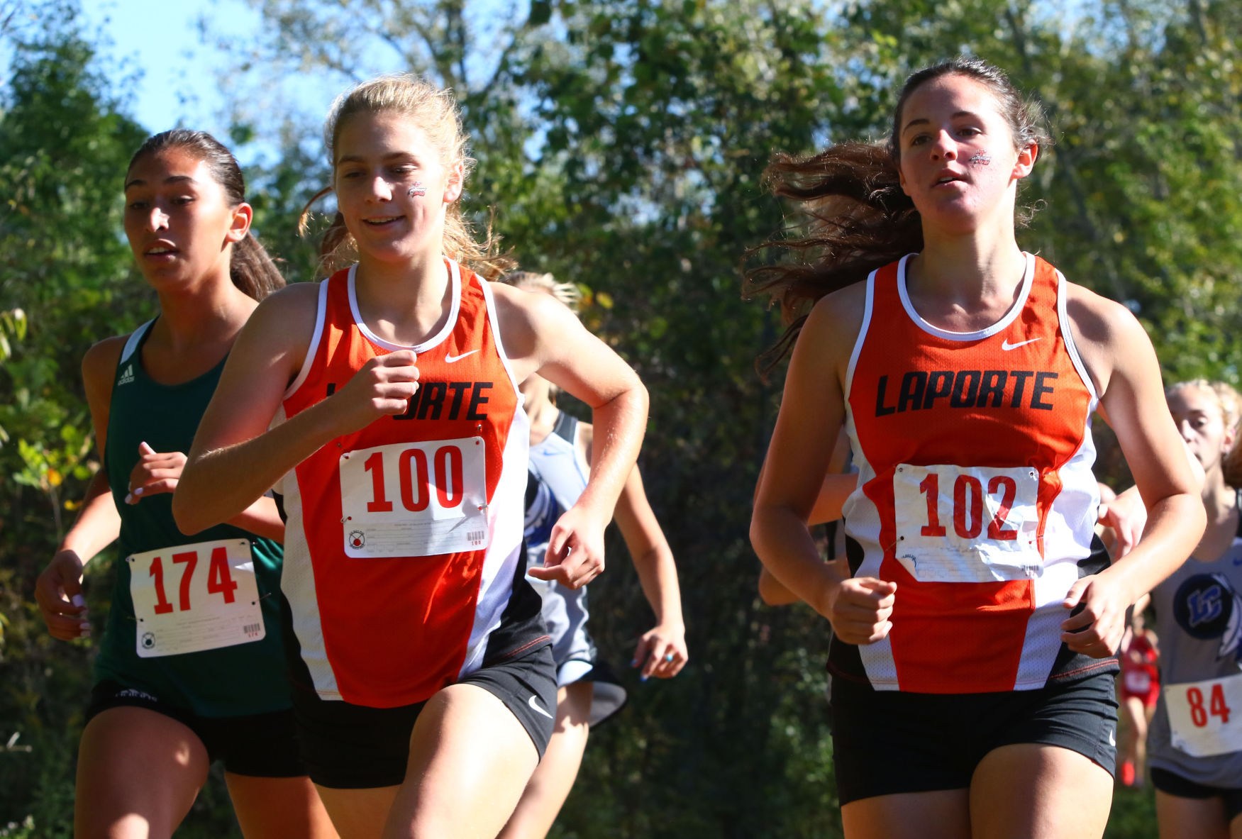 Gallery: Duneland Athletic Conference cross country meet
